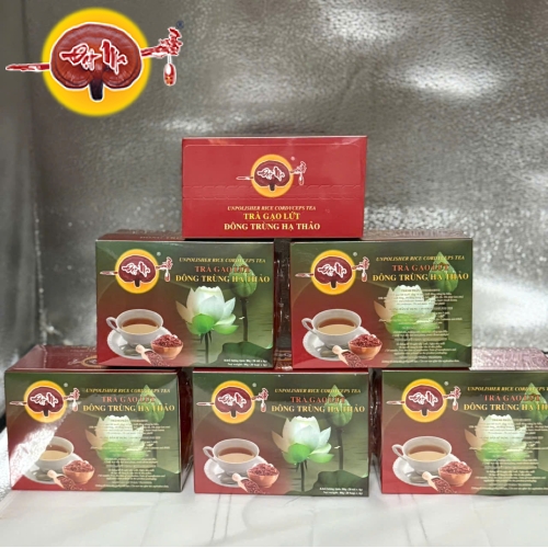 TRÀ GẠO LỨC ĐÔNG TRÙNG HẠ THẢO