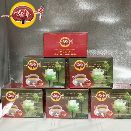 TRÀ GẠO LỨC ĐÔNG TRÙNG HẠ THẢO