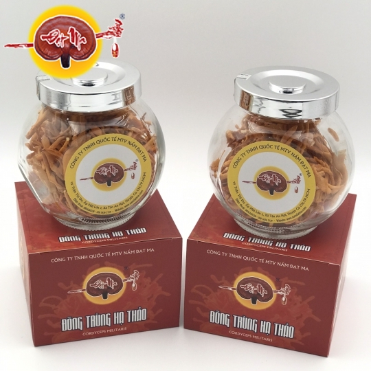 ĐÔNG TRÙNG HẠ THẢO KHÔ (Hũ tròn)
