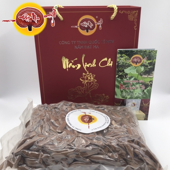 HỘP QUÀ NẤM LINH CHI ĐẠT MA (0,5kg)