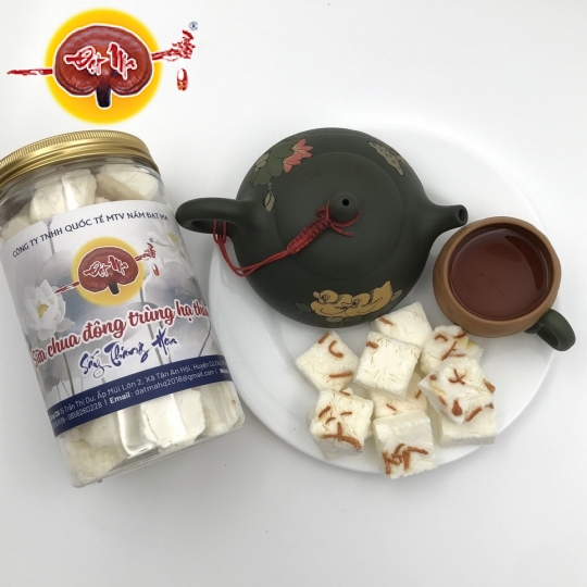 SỮA CHUA ĐÔNG TRÙNG HẠ THẢO SẤY THĂNG HOA (100g)