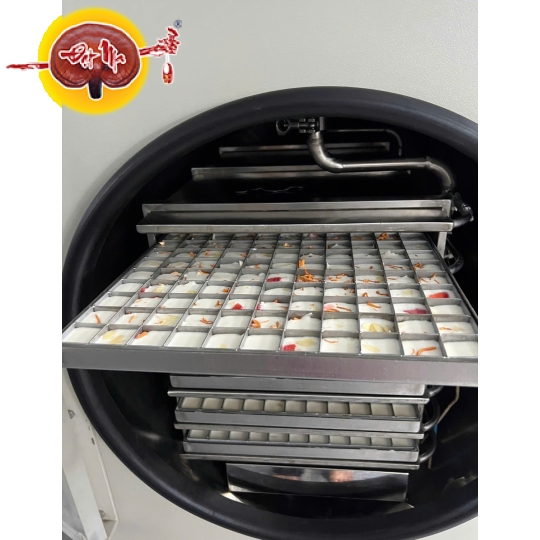 SỮA CHUA ĐÔNG TRÙNG HẠ THẢO DÂU SẤY THĂNG HOA (100g)