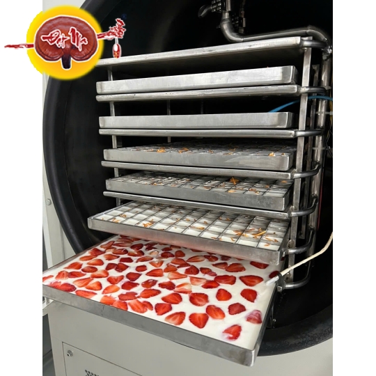 SỮA CHUA ĐÔNG TRÙNG HẠ THẢO DÂU SẤY THĂNG HOA (100g)