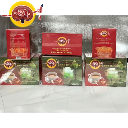TRÀ GẠO LỨC ĐÔNG TRÙNG HẠ THẢO
