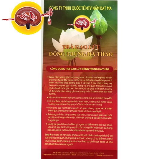 TRÀ GẠO LỨC ĐÔNG TRÙNG HẠ THẢO