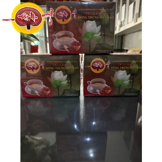 TRÀ GẠO LỨC ĐÔNG TRÙNG HẠ THẢO