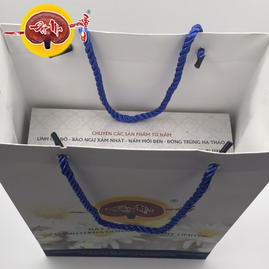 TRÀ TÚI LỌC LINH CHI HOA CÚC