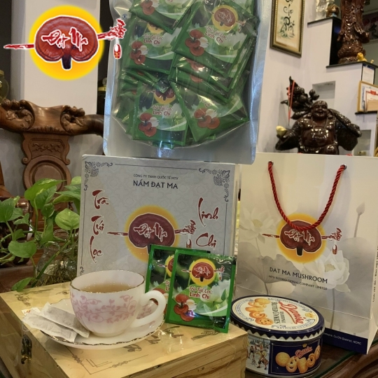 TRÀ TÚI LỌC LINH CHI HOA CÚC